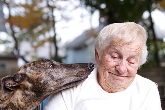 How ElderDog Helps Canadian Seniors in Victoria, BC